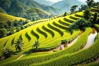 Farmer navigating vivid green rice paddy terraces in vietnam