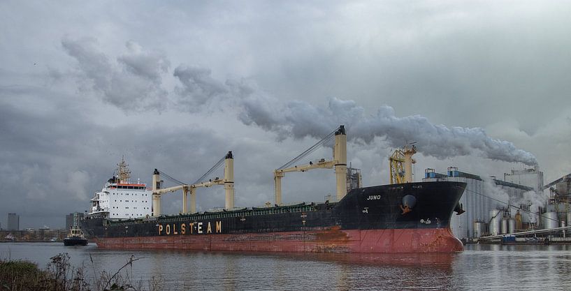 Juno-imo 9422378-02-02-2018-Amsterdam von Ed Vroom
