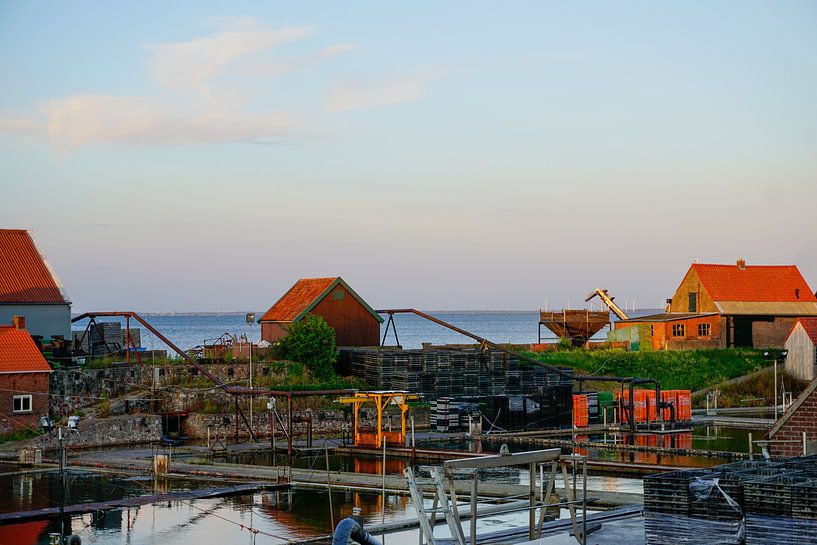 Yerseke picturesque view by Lili's Photography