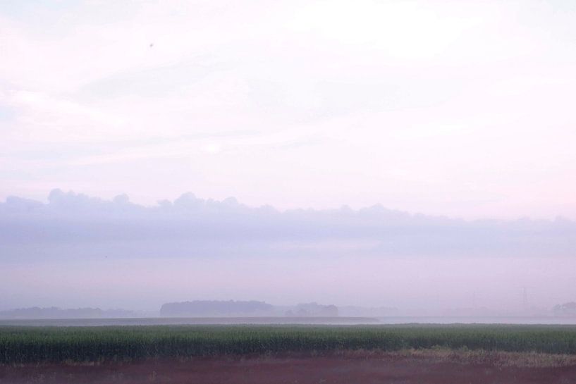 Rustige Ochtend over de Velden van Wendy van Cuijk