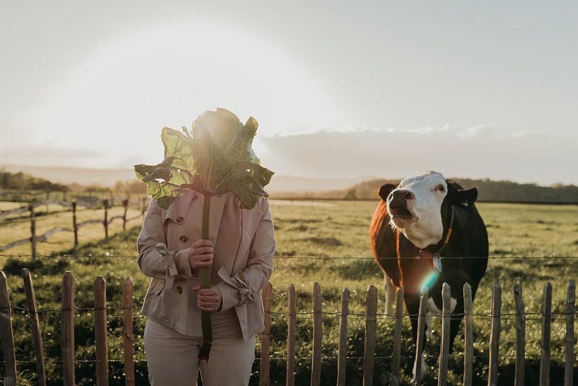 Nature photo of a woman with a large leaf in front of her head and a mooing cow | Nature Photography by eighty8things