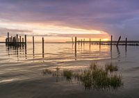 Haven de Cocksdorp Texel.