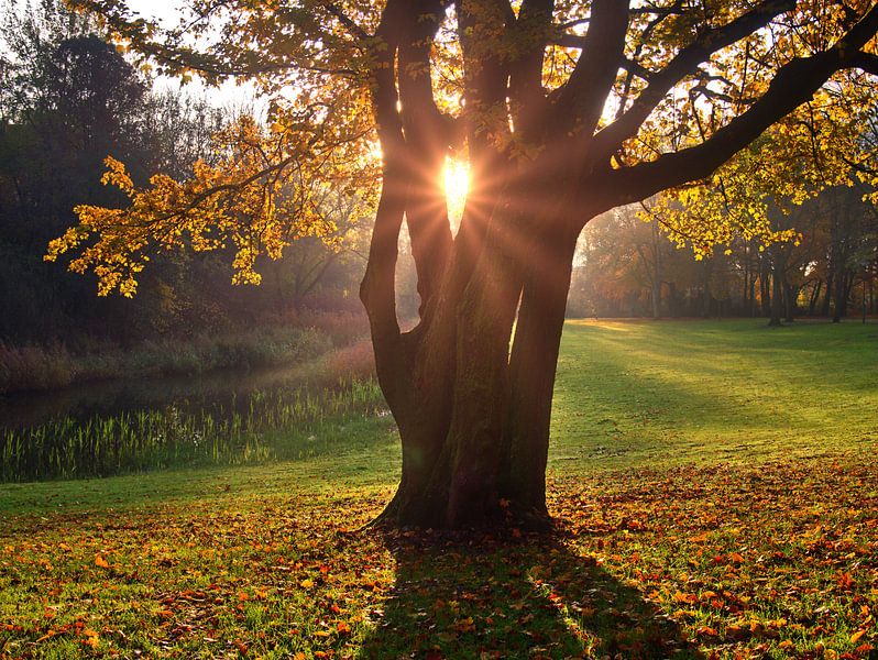 Park 14 von Edgar Schermaul