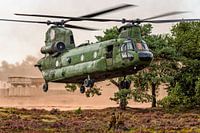 Chinook-Hubschrauber in der Heide von Oirschotse