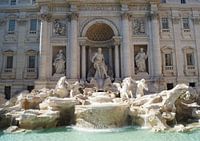 Fontana di Trevi daylight