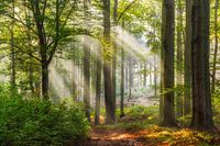 Façons de se détendre