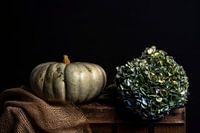Nature morte avec citrouille et hortensia