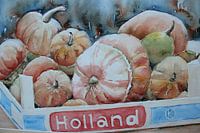 Récolte de citrouilles 🎃