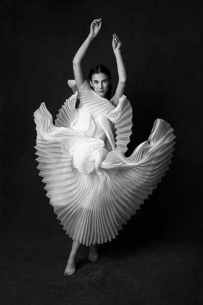 Schwanensee von Peyman Naderi