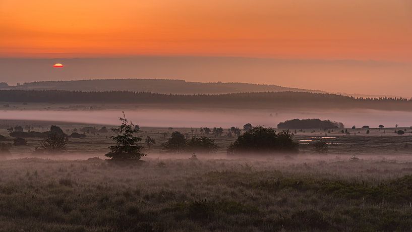 Bodennebel auf dem Hohen Venn. von Koos SOHNS   (KoSoZu-Photography)