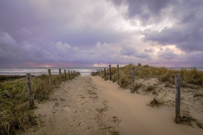 Evenings at sea by Dirk van Egmond