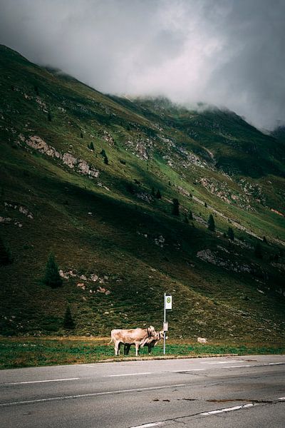 Warten auf den Bus von Oscar van Crimpen