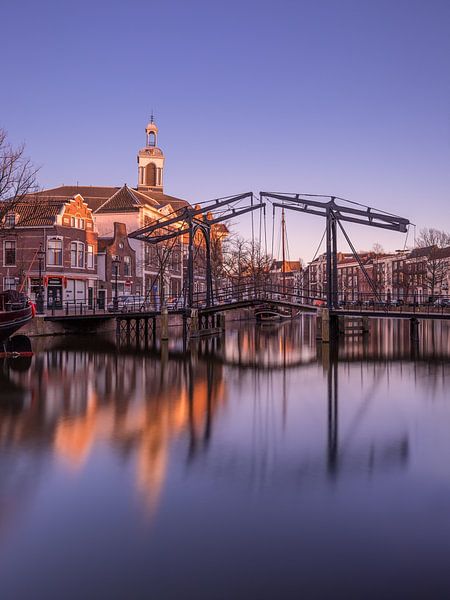 Golden Schiedam by mytruecolours
