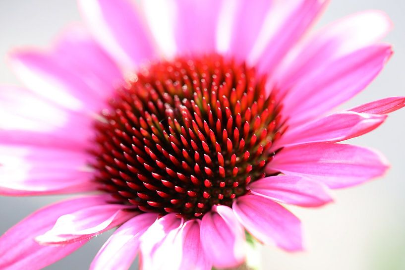 Sun hat by Marieke Funke