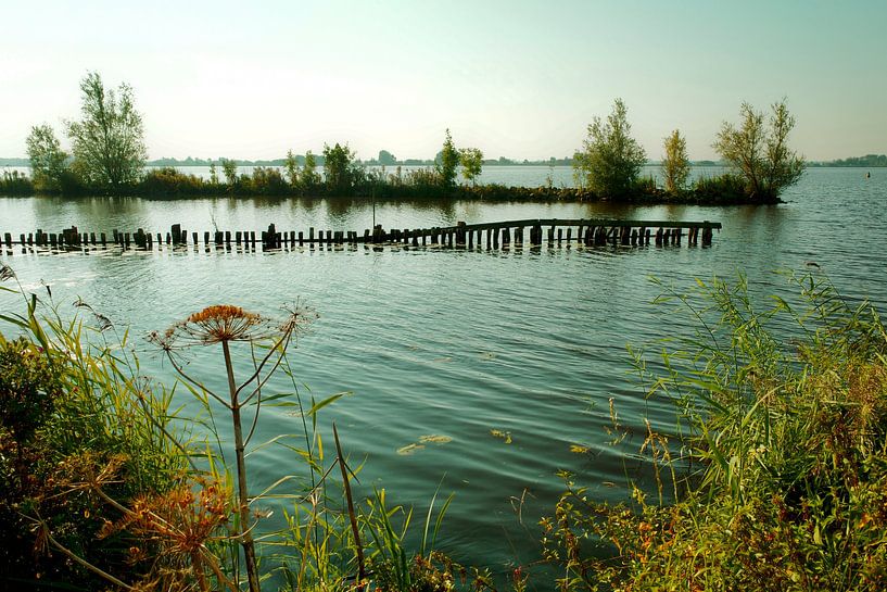 Sommerliche Aussicht auf den Schildsee vom Naturschutzgebiet Tetjehorn von Jurjen Melinga