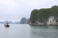 Vietnamese rock in the river