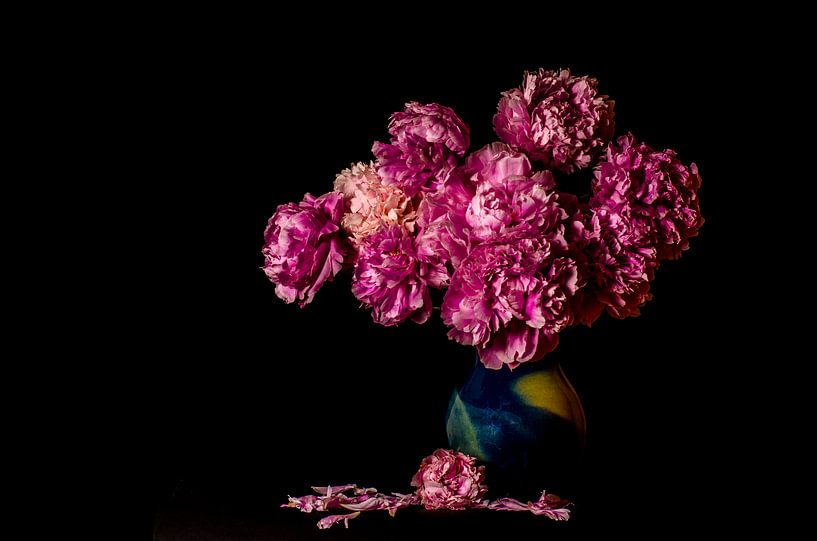 Pioenen in vaas par Annemarie Ostendorf