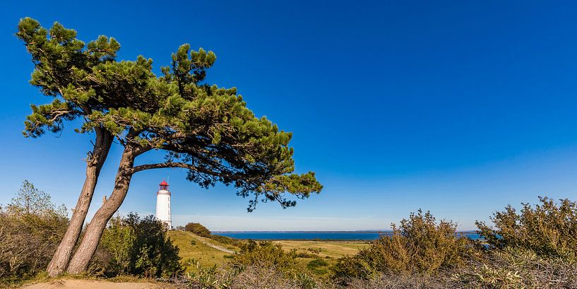Phare de Dornbusch sur l'île de Hiddensee par Werner Dieterich