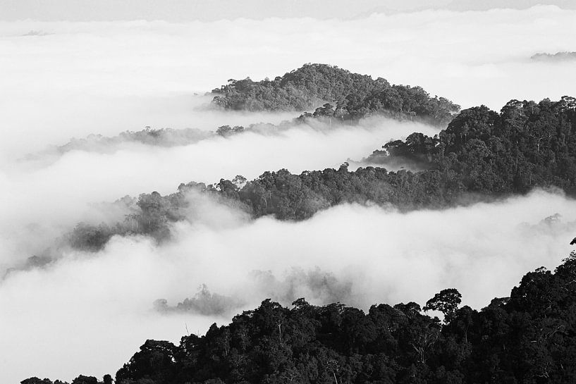 Sea of Clouds by Johan Zwarthoed