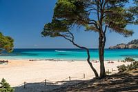 Cala Agulla près de Cala Rajada, Majorque