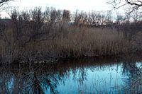 Naturschutzgebiet bei Valencia