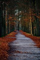 Wanderweg Beerschoten