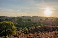 Sonnenuntergang Posbank