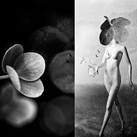 Mannequin de l'hortensia