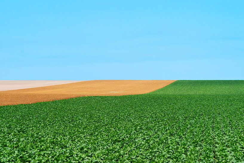 Paysage Culturel #4 by Floris Kok