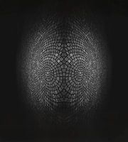 Le poisson de pierre - Art photographique