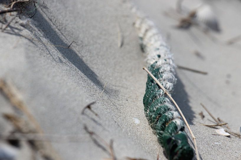 Eternity by Lis Zandbergen