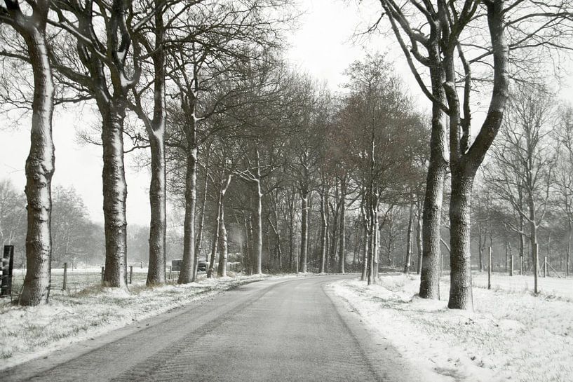 Besneeuwdw weg von Nella van Zalk