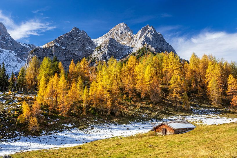 Herbstliche Hütte von Coen Weesjes