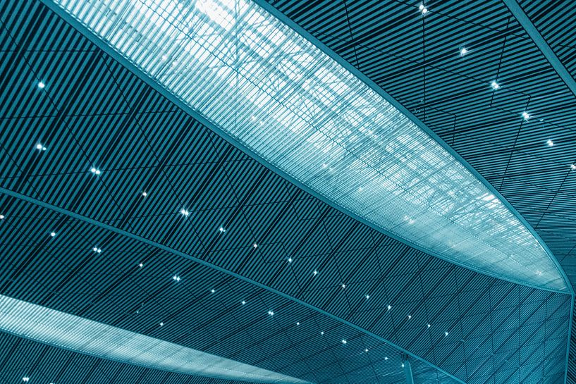 Die Decke von Maarten Borsje