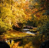 Den Herbst genießen, die schönste Zeit des Jahres