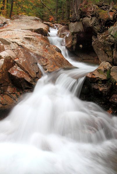 The Basin Waterval von lieve maréchal