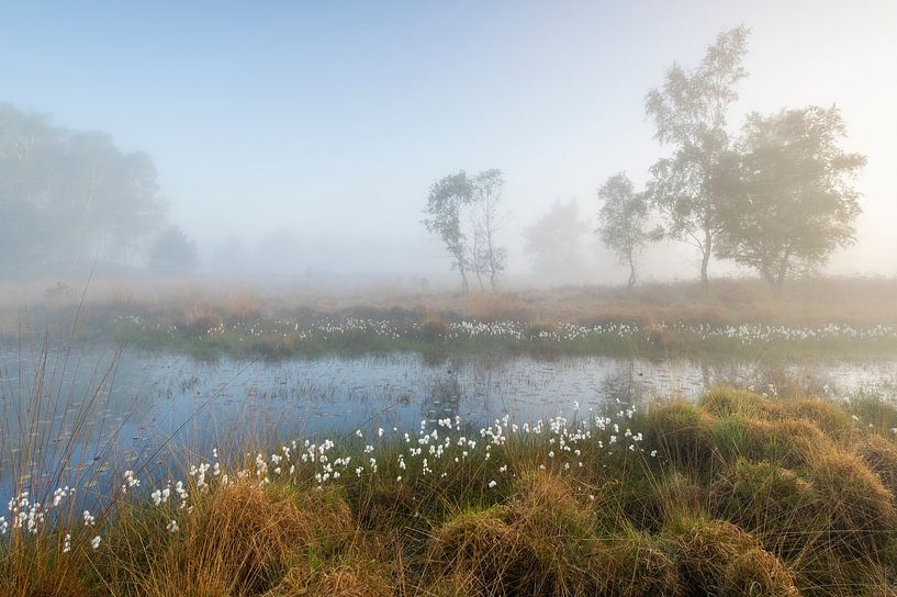 Points blancs par Laura Vink