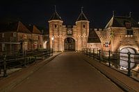 Amersfoort torque gate-large Spui