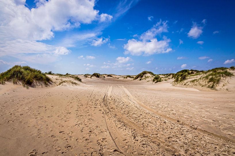 Dunes of De Horsen Texel by Rob Boon