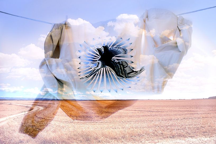 Dans les nuages par True Color Stories