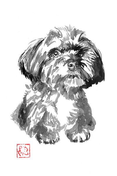 petit chien par Péchane Sumie