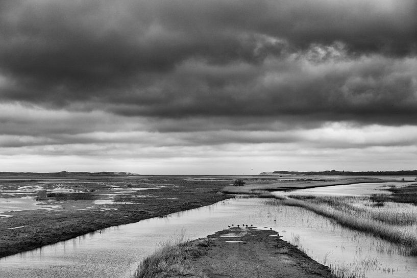 Nuages d'argent8 par Willy Lippens