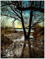 Pays-Bas - zones humides