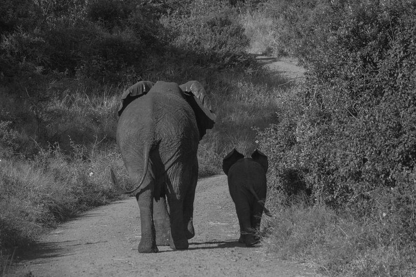 Wandelen met mama par Wesley Klijnstra