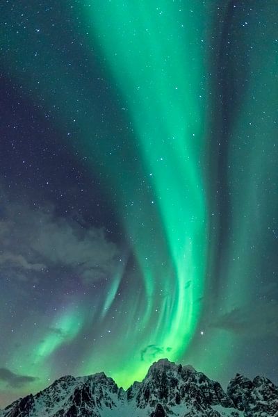 Northern Lights or Aurora Borealis in the starry night over the snowy mountain peaks of the Lofoten by Sjoerd van der Wal Photography
