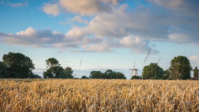 Photo hollandaise avec moulin à vent à Veere, Zeeland par Fotografiecor .nl
