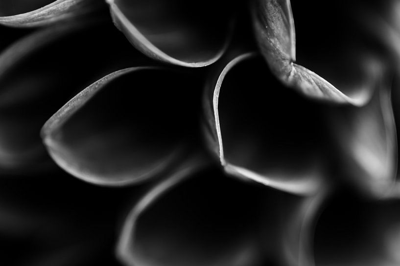 Lines. Do you see what I see? by Jolanda de Jong-Jansen