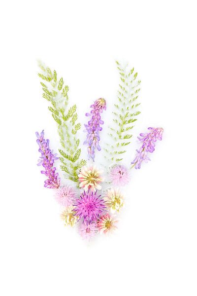 Wild flowers by Cindy Mulder