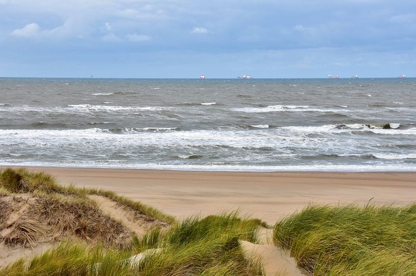 Beach and dunes by Carla Eekels