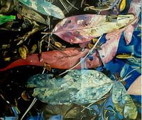 Grüner Farbton Herbstblätter